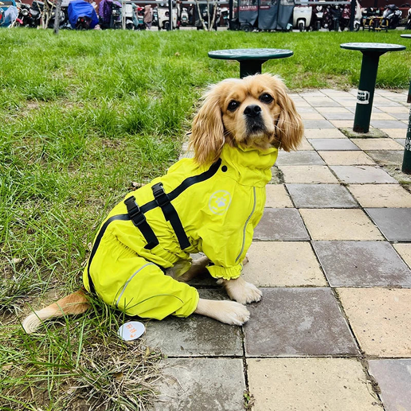 Waterproof Reflective Dog Raincoat | Adjustable Pet Jacket