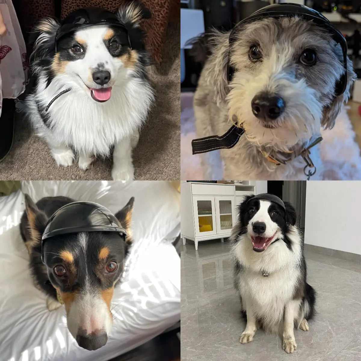 Lightweight Dog Helmet with Ear Holes | Safe Pet Hat for Adventures
