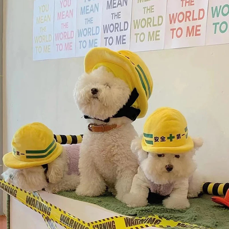 Pet Safety Helmet for Dogs and Cats | Cute Halloween Costume Accessory