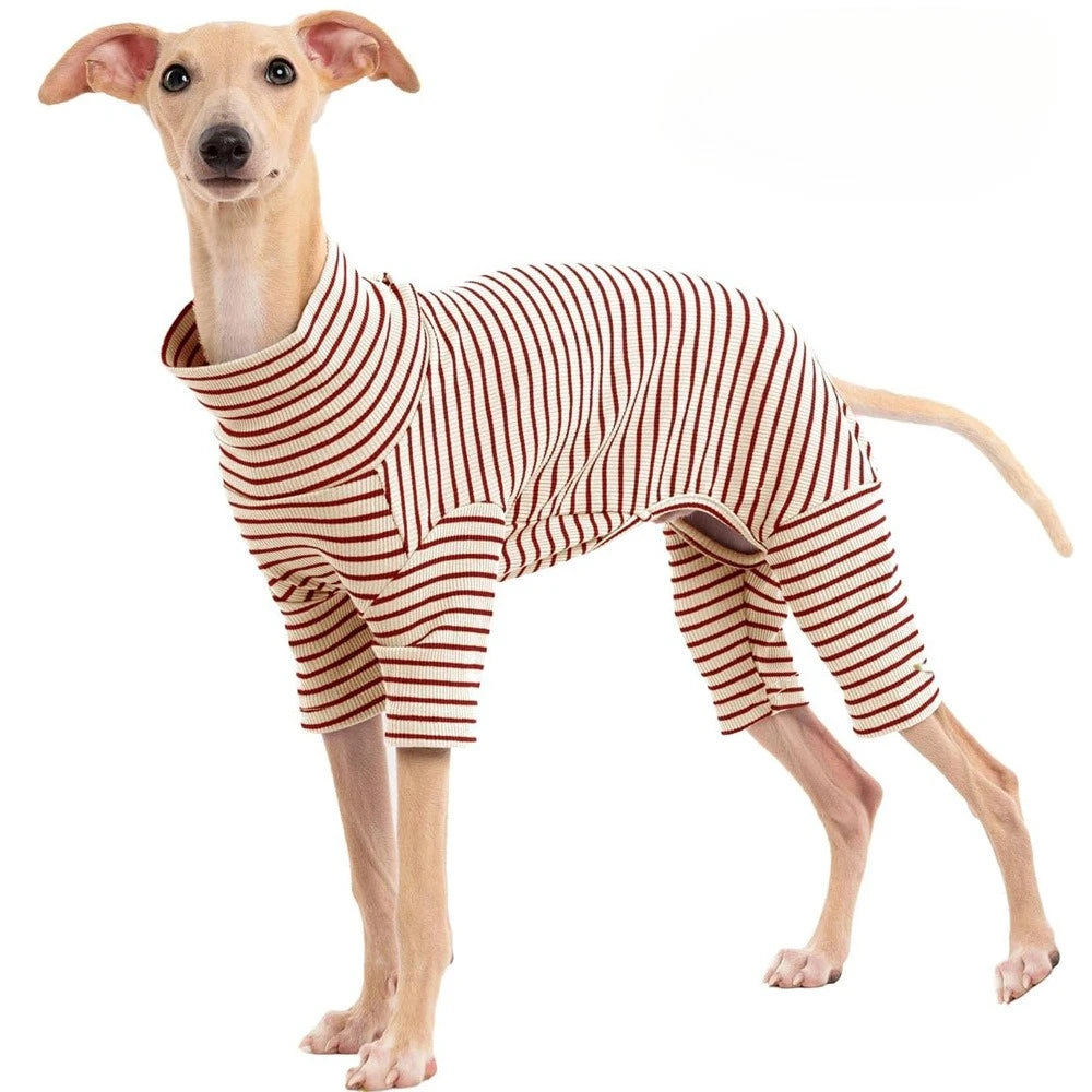 Four Legged Spring Pet Dog Jumpsuit | Comfortable Dog Apparel