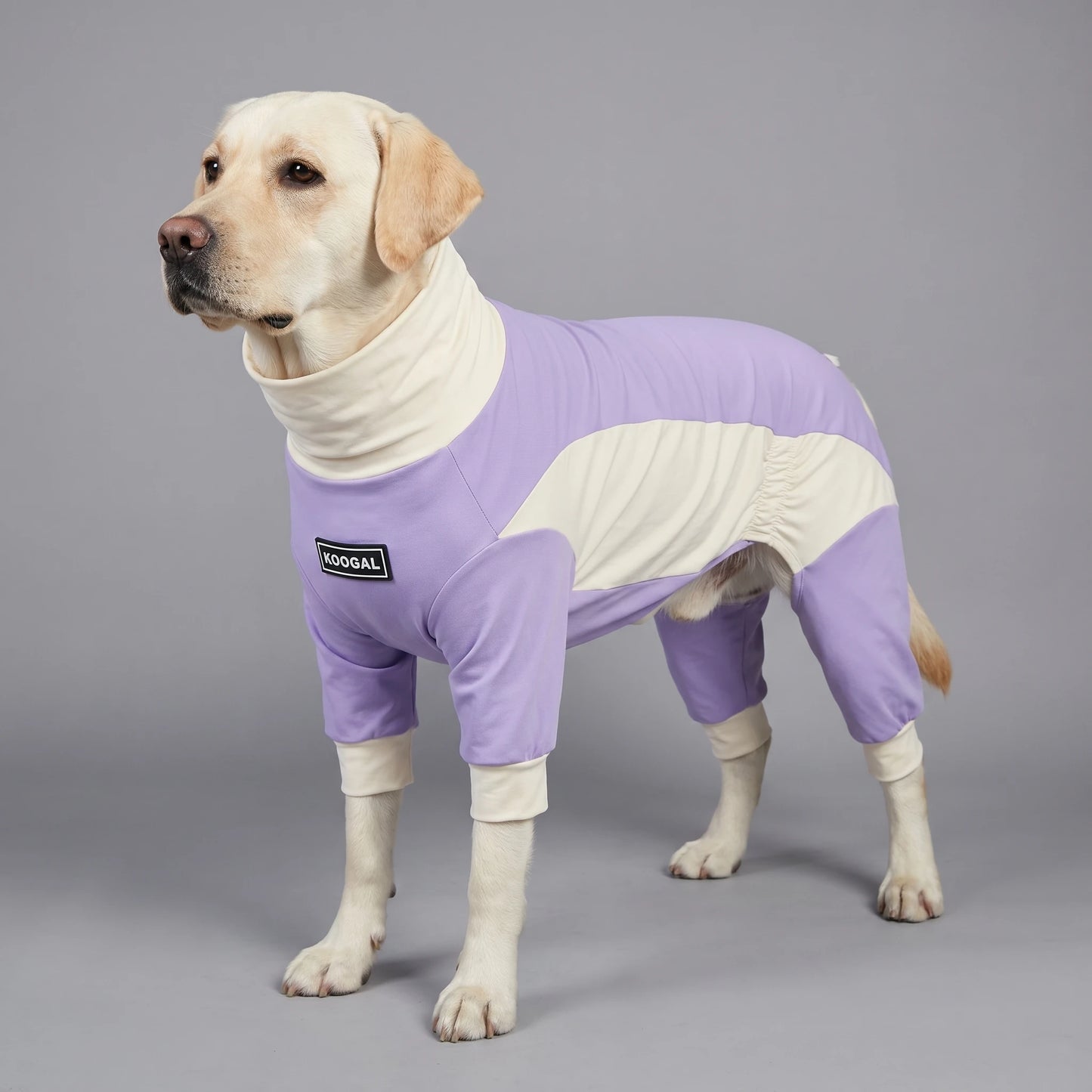 Summer Dog Cooling Clothes | Quick-Dry Pet Sun Protection Outfit