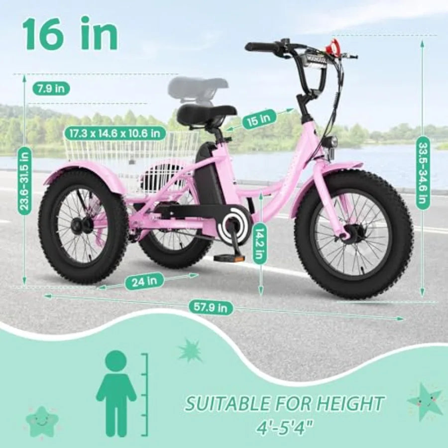 Electric Tricycle for Youth | 250W 3-Wheel Electric Bike