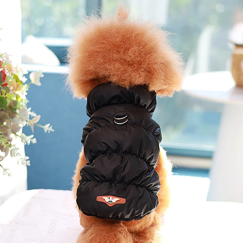 Chaqueta de plumón naranja cálido para gato con hebilla de tracción | Elegante abrigo para mascotas