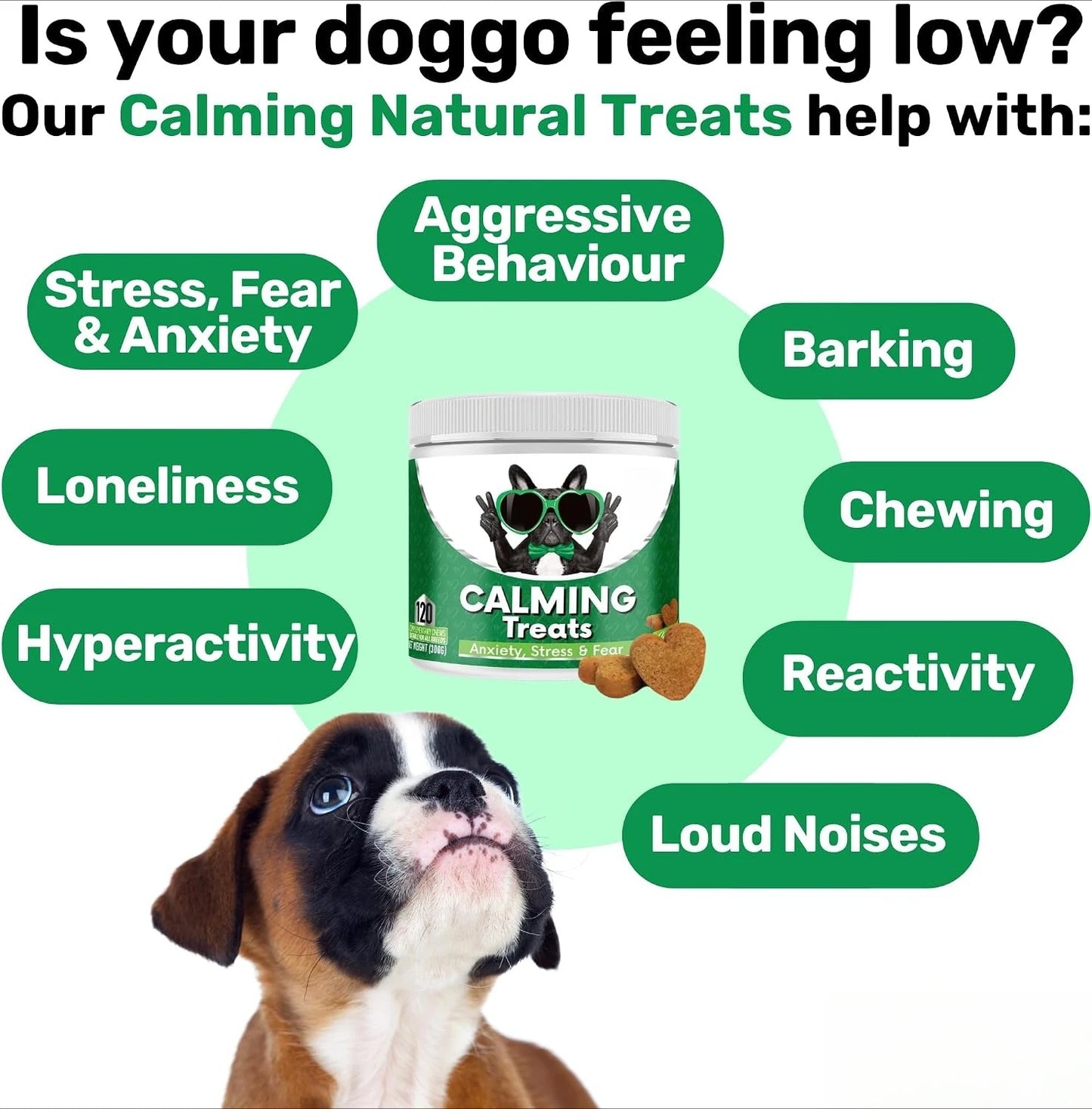 Calming Soft Chews for Dogs | Stress Relief & Anxiety Support