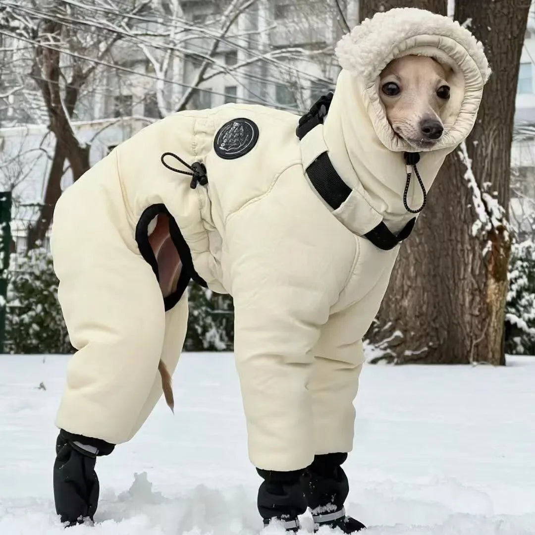 Warm Dog Jacket for Big Dogs | Winter Dog Clothes for Cold Weather
