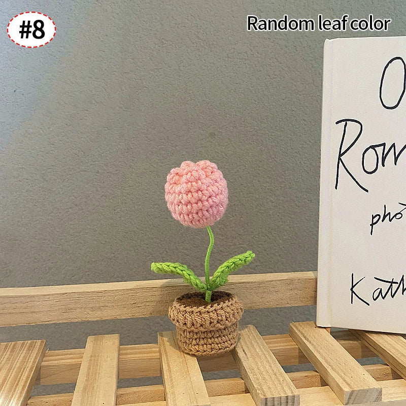 Beautiful Hand-Woven Crochet Flower Pots for Home Décor
