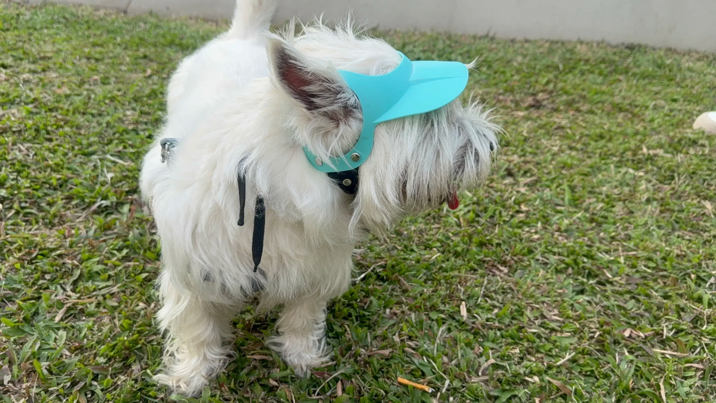 Stylish Dog Motorcycle Sun Hat | Adjustable Doggy Visor