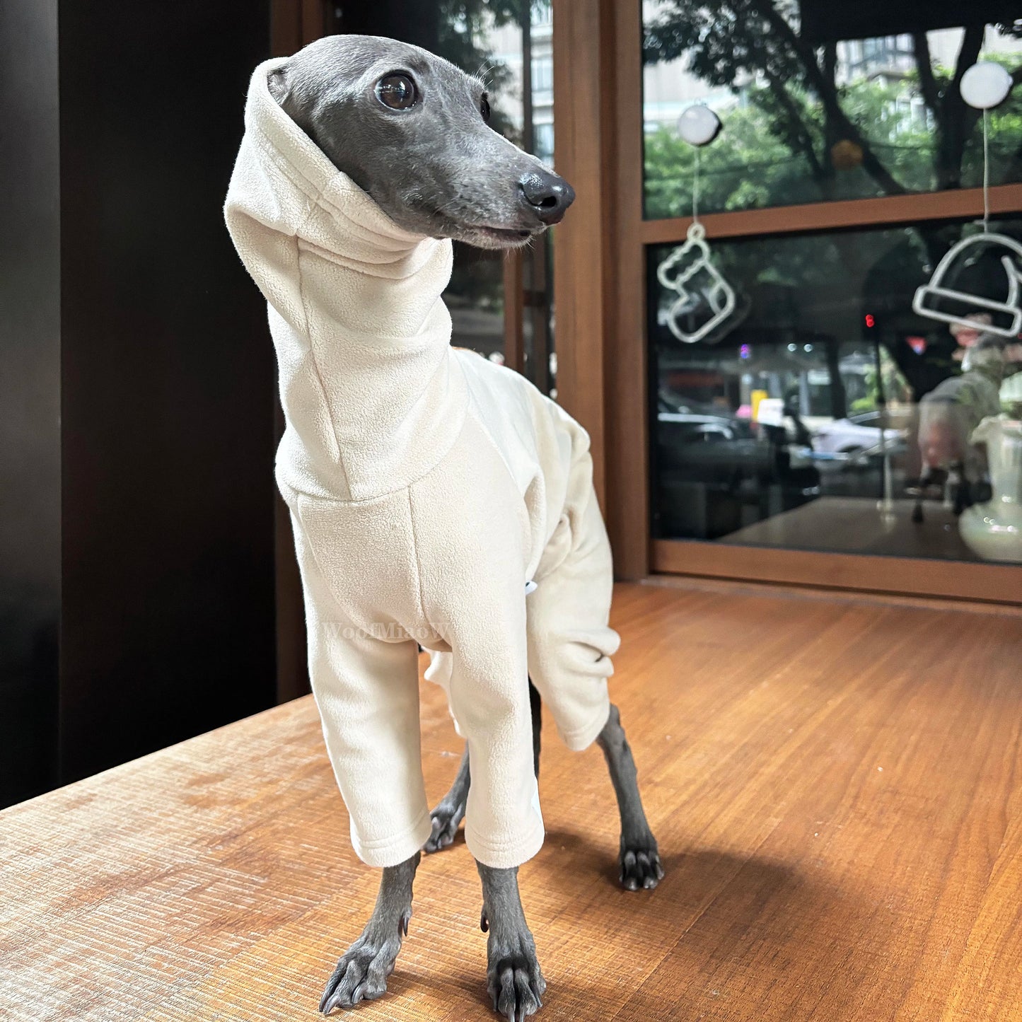 Ropa de invierno para perros | Atuendos suaves y elegantes para razas pequeñas