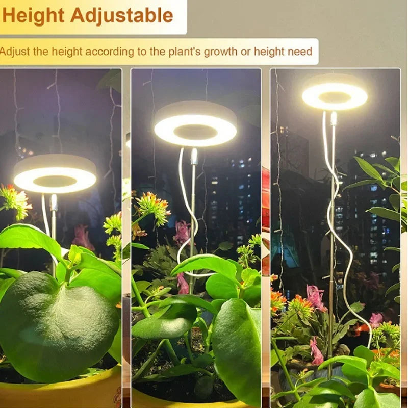 Full Spectrum LED Grow Light for Indoor Plants with Timer