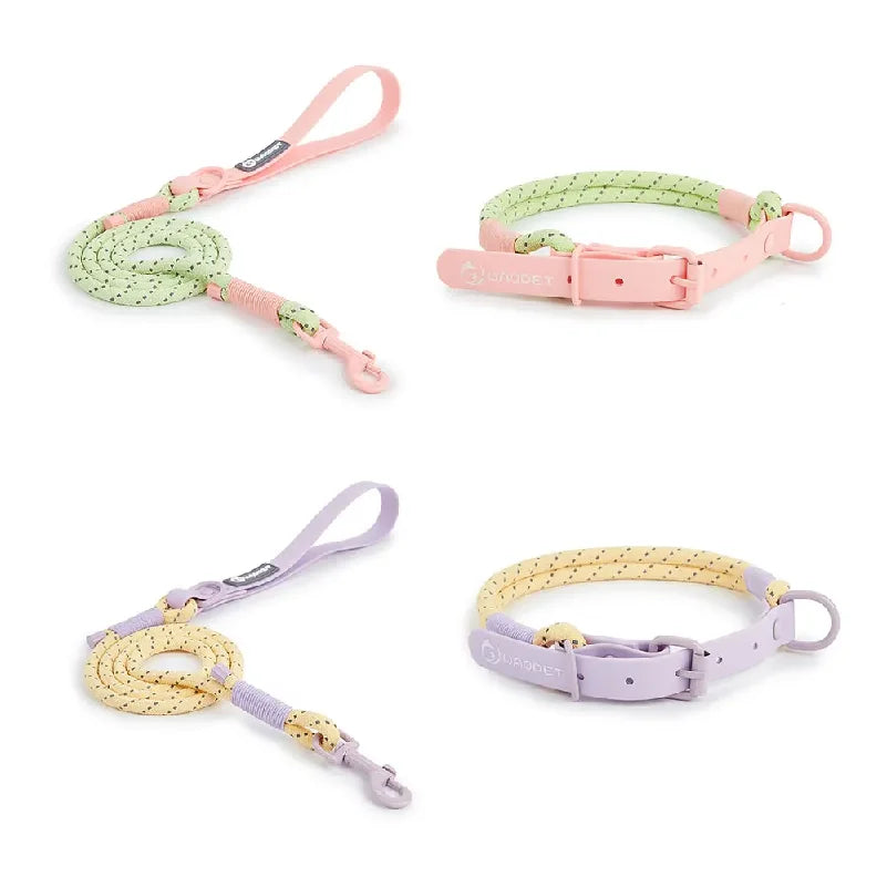 Cute Sugar Color Dog Collar and Leash Set for Small to Medium Dogs