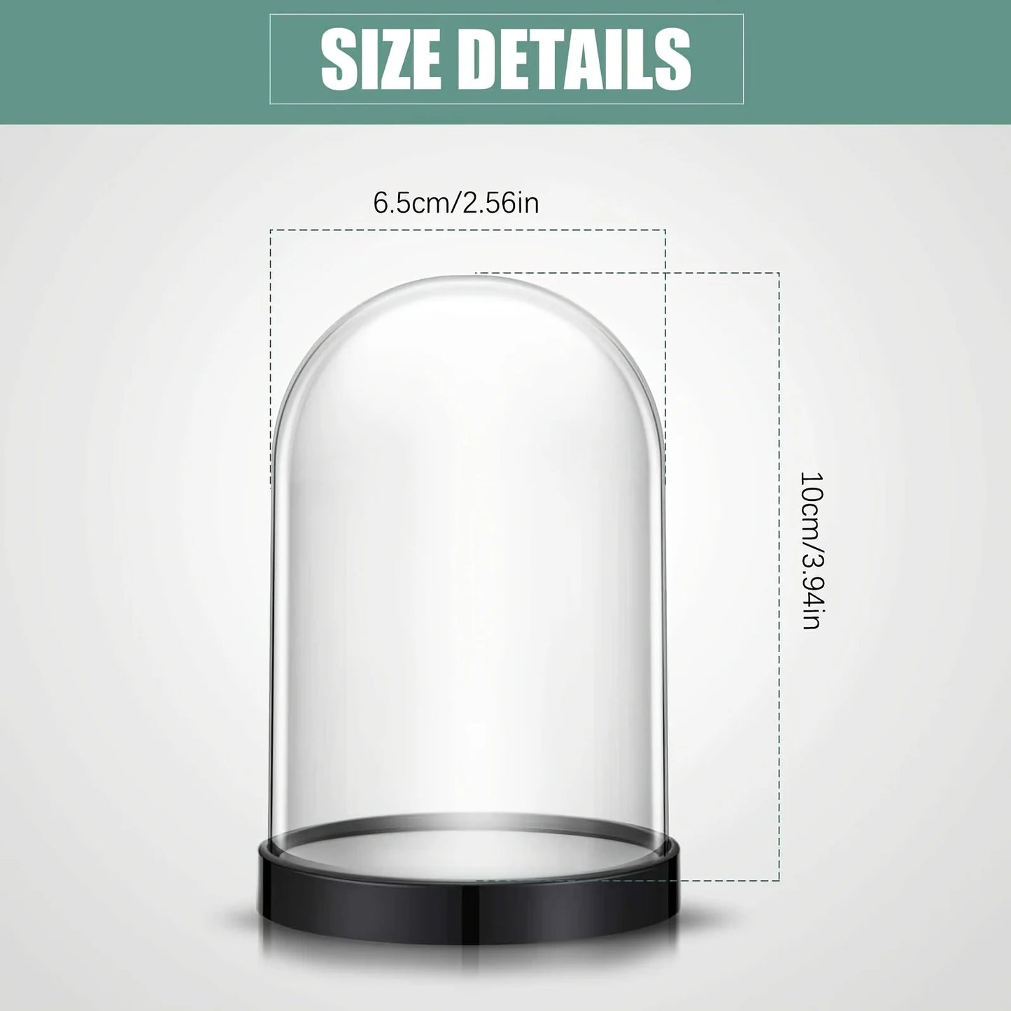 Clear Plastic Dome Cover for Flower Displays | Perfect Decoration