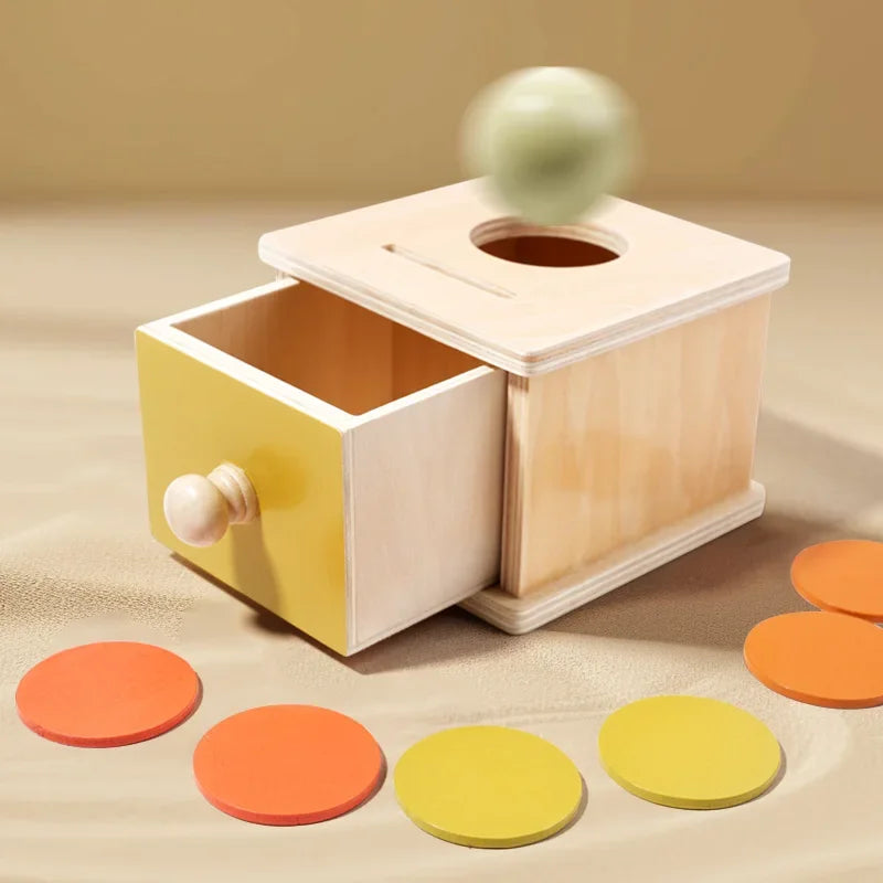 Montessori Puzzle Box for Infants | Develop Hand-Eye Coordination