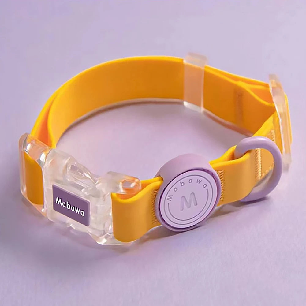 Trendy Transparent Buckle Pet Collar | Perfect for Small Dogs & Cats