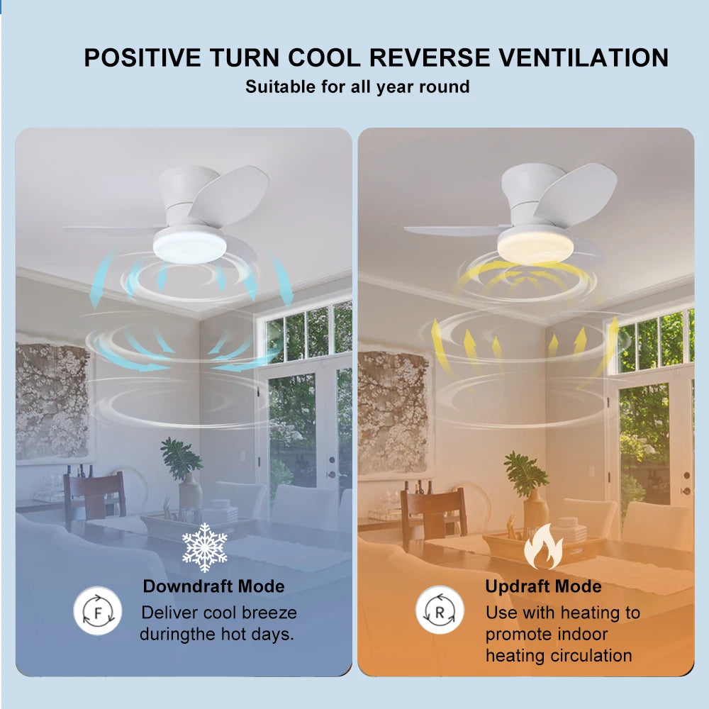 Modern Minimalist Ceiling Fan Lights for Every Room
