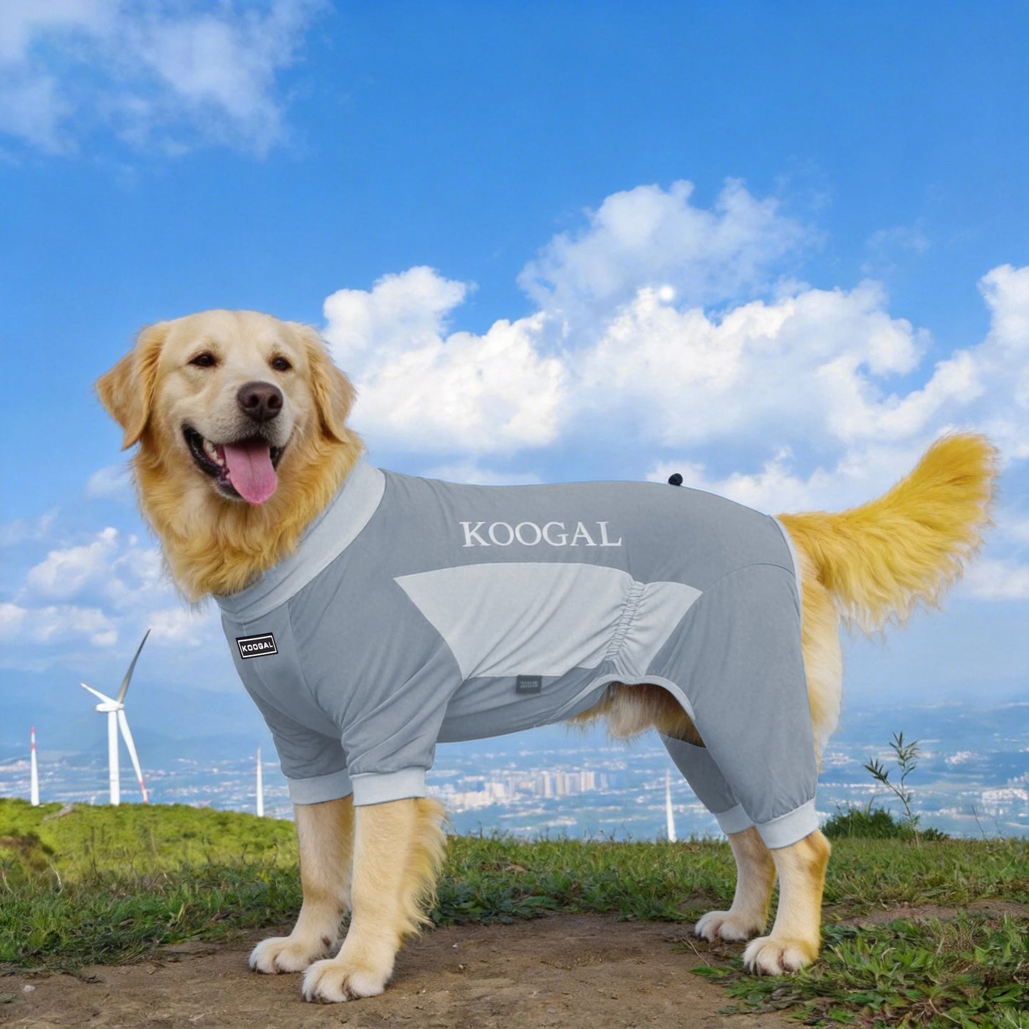 Summer Dog Cooling Clothes | Quick-Dry Pet Sun Protection Outfit