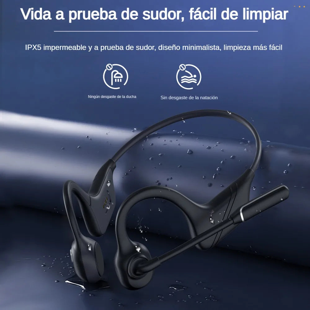 Professional Open Stereo Headphones with Noise Canceling Microphone