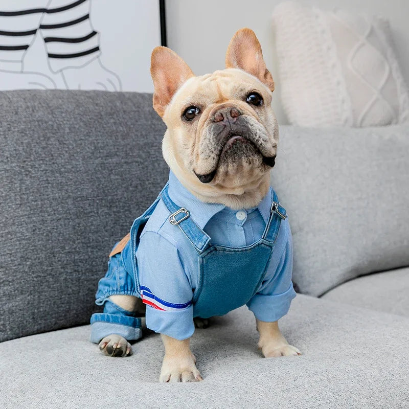 Elegante abrigo vaquero para perros de razas pequeñas y medianas | Ropa de abrigo para mascotas