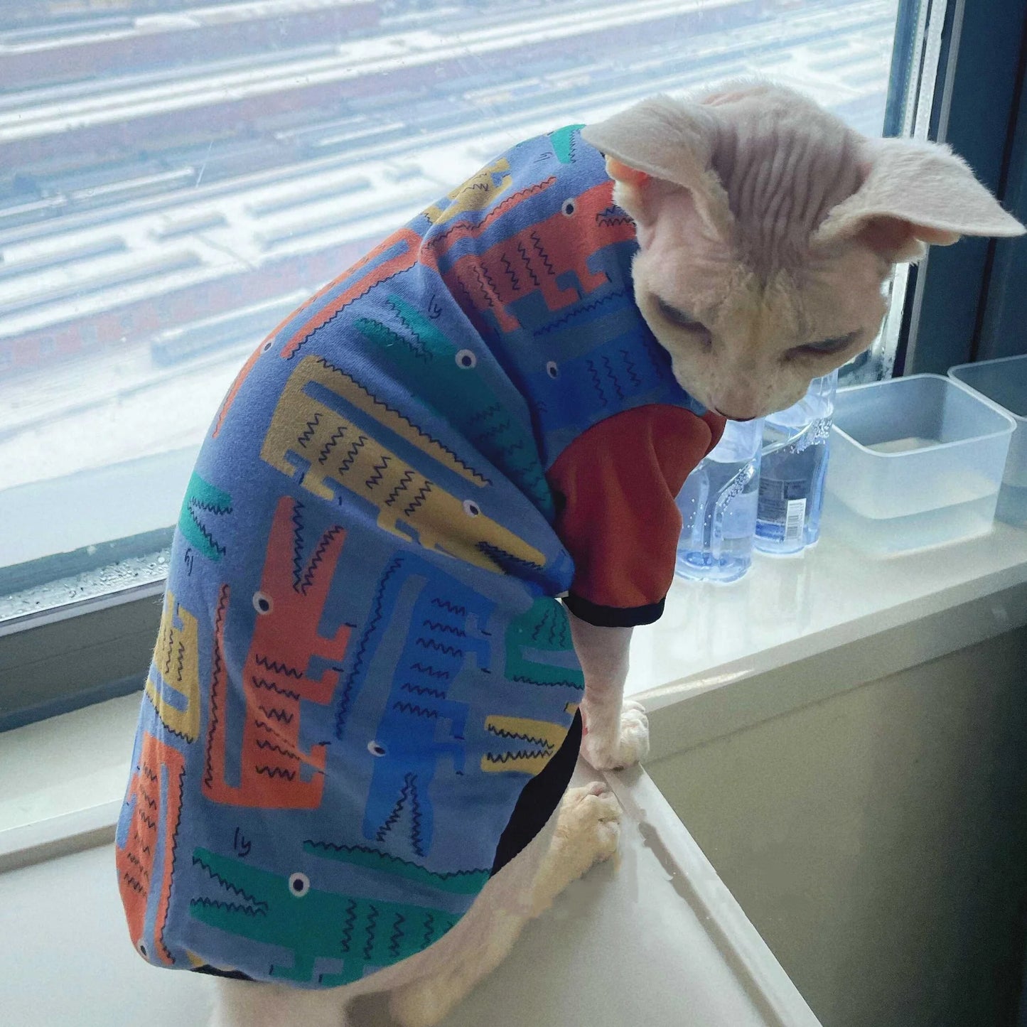 Long Sleeve Sweatshirt for Cats | Cozy Cartoon Coat for Spring