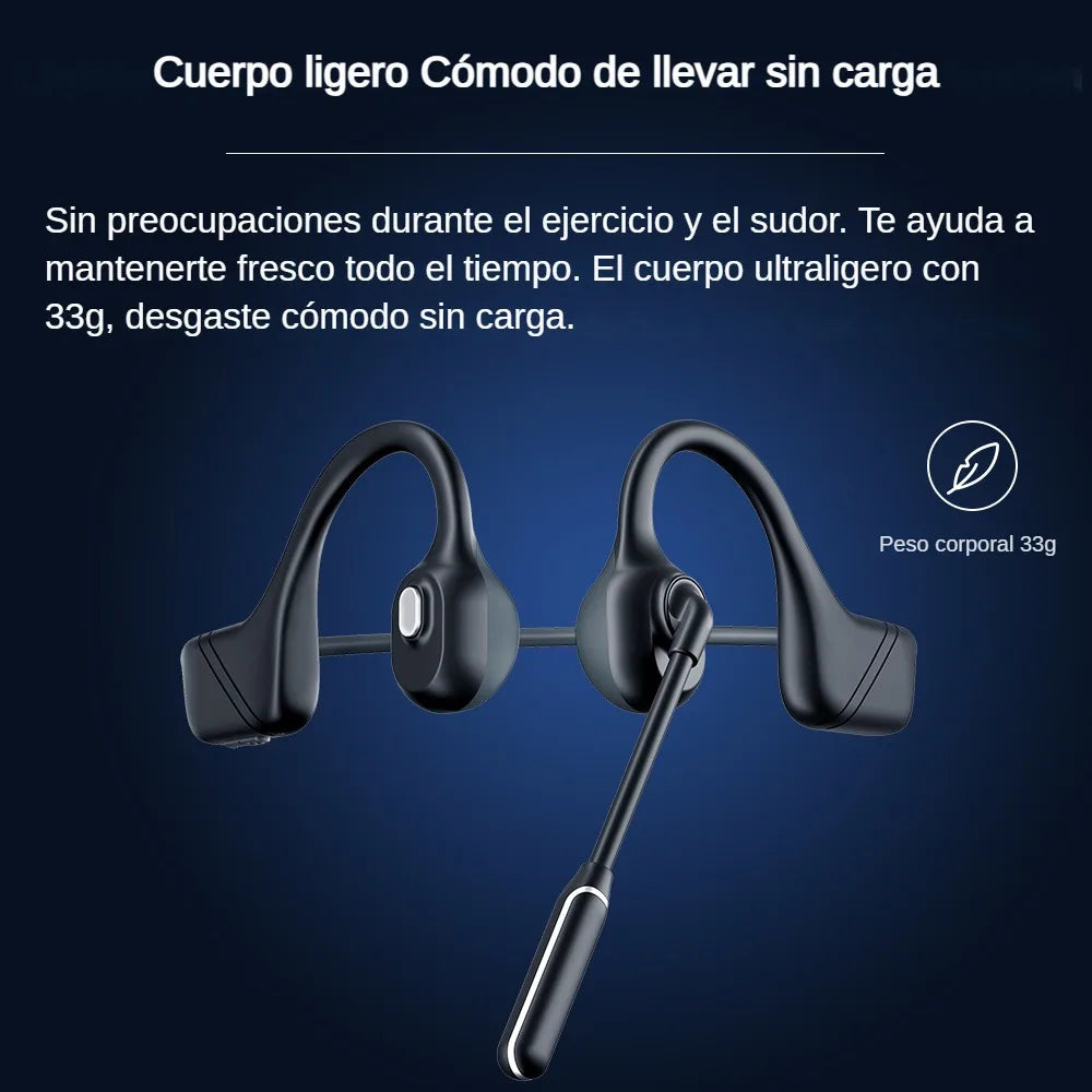 Professional Open Stereo Headphones with Noise Canceling Microphone