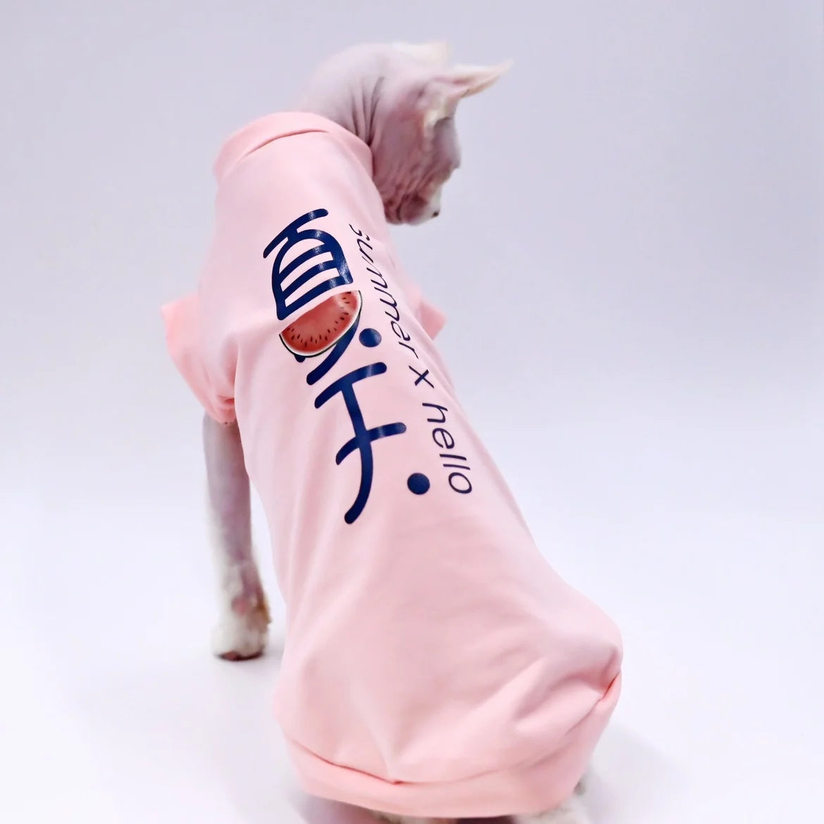 Breathable Cotton Cat Vest for Summer | Lightweight Pet Apparel