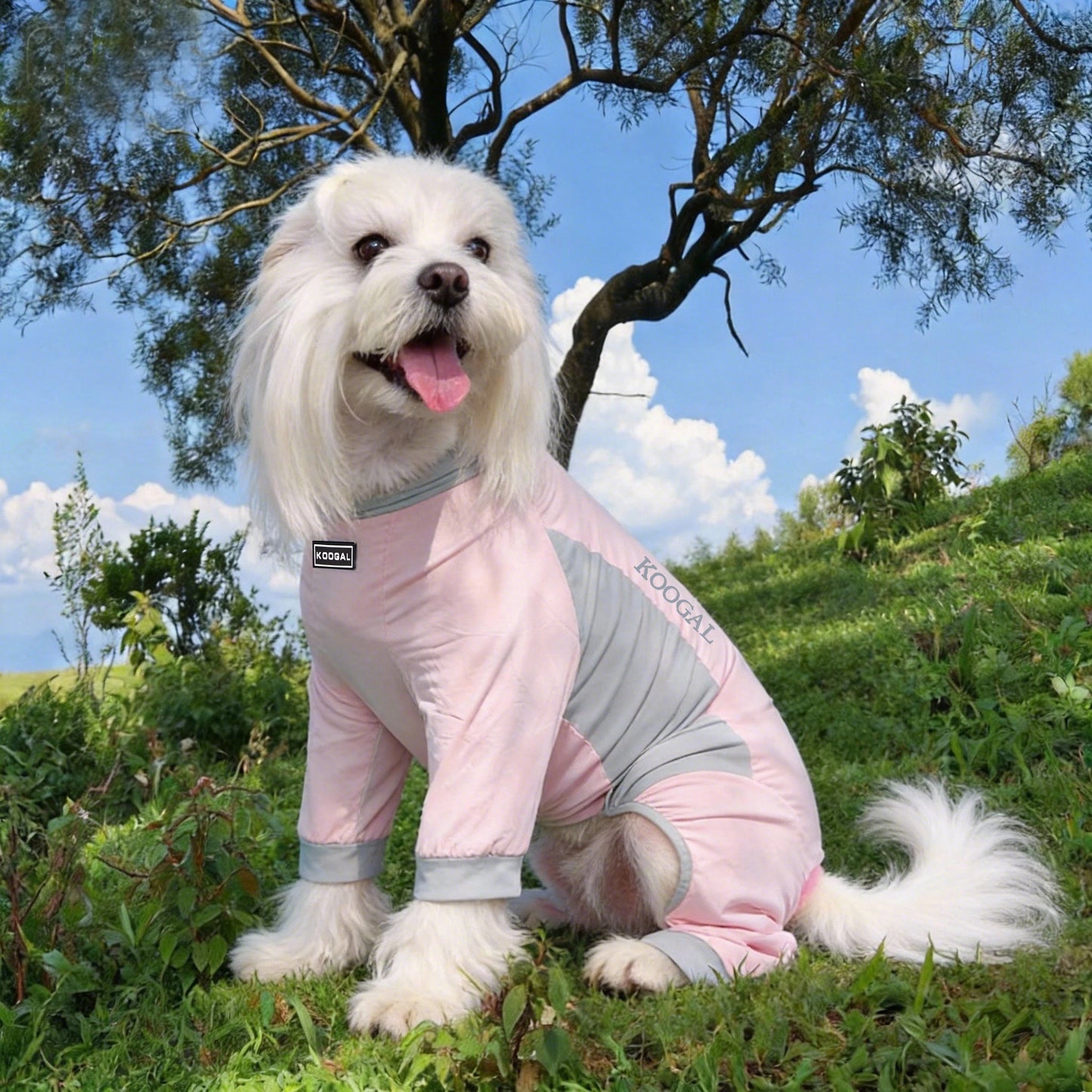 Summer Dog Cooling Clothes | Quick-Dry Pet Sun Protection Outfit