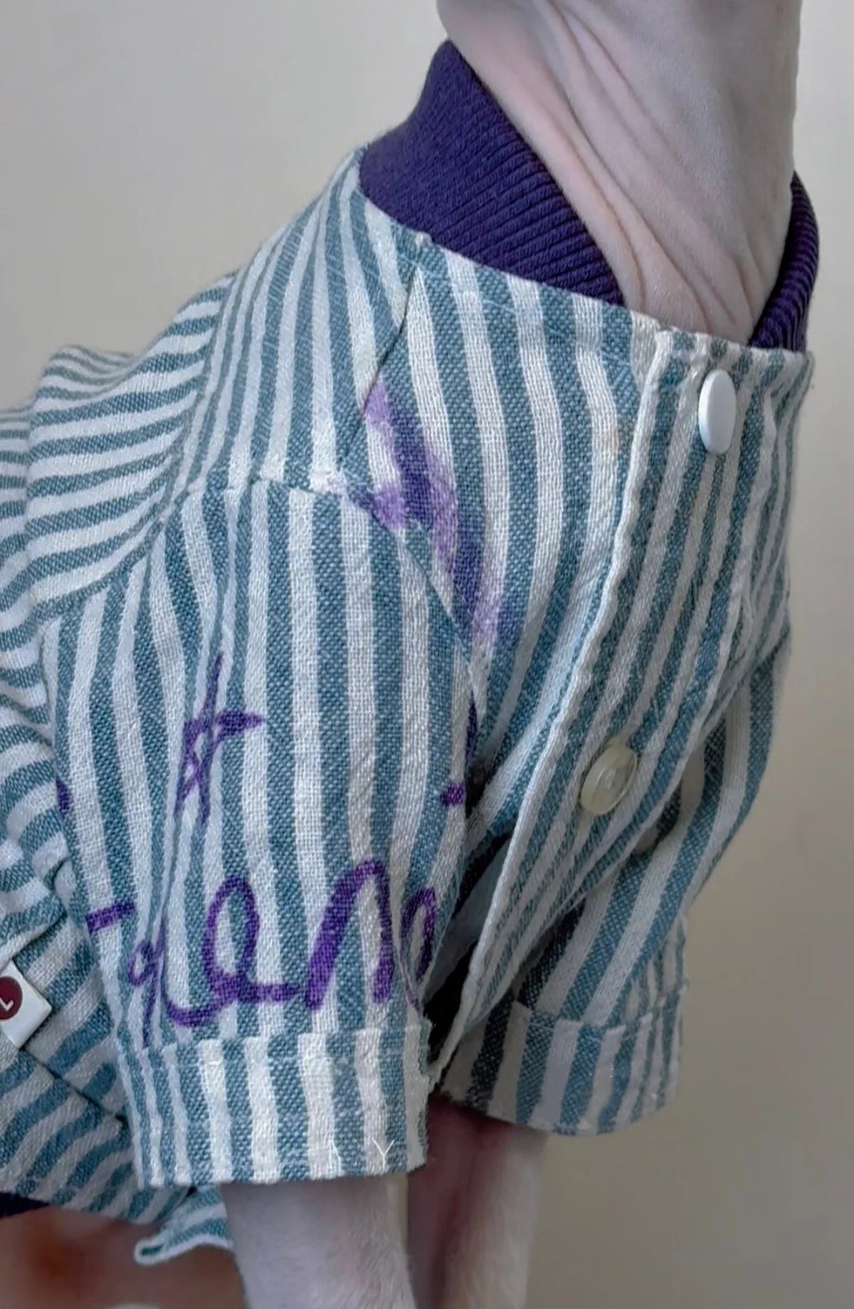 Stylish Cotton Baseball Jacket for Sphynx Cats and Kittens