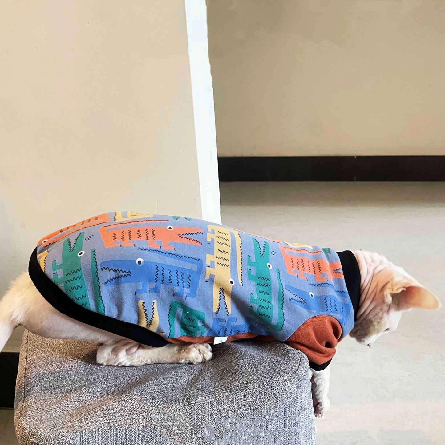 Long Sleeve Sweatshirt for Cats | Cozy Cartoon Coat for Spring