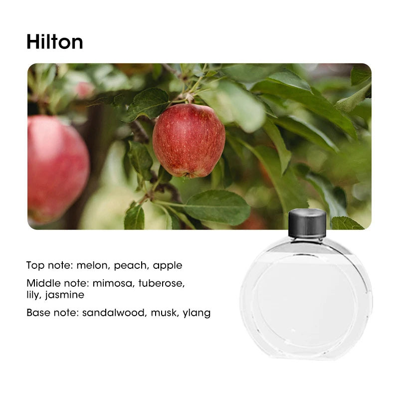 USB Aromatherapy Diffuser Humidifier | Hydrate Your Space