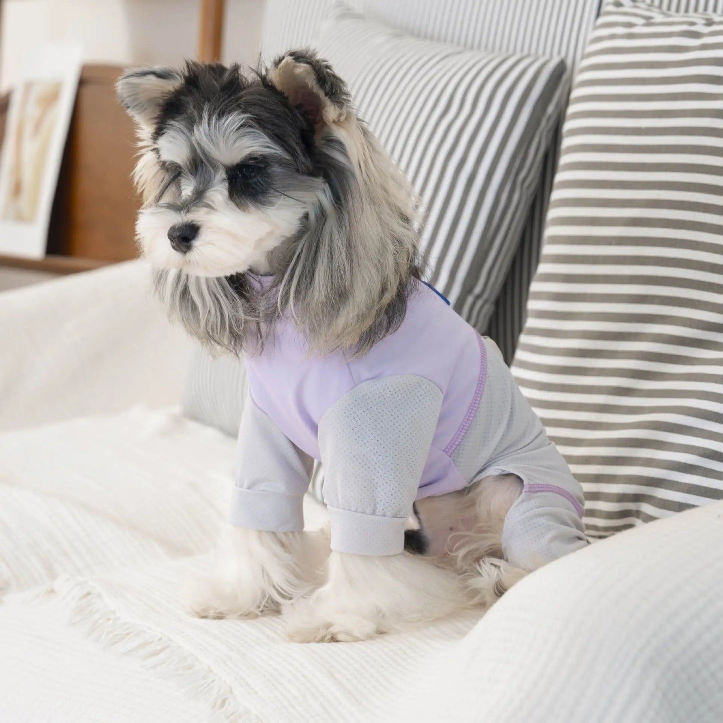 Ultra Lightweight Ice Silk Dog Jumpsuit | Breathable Full Body Pajamas