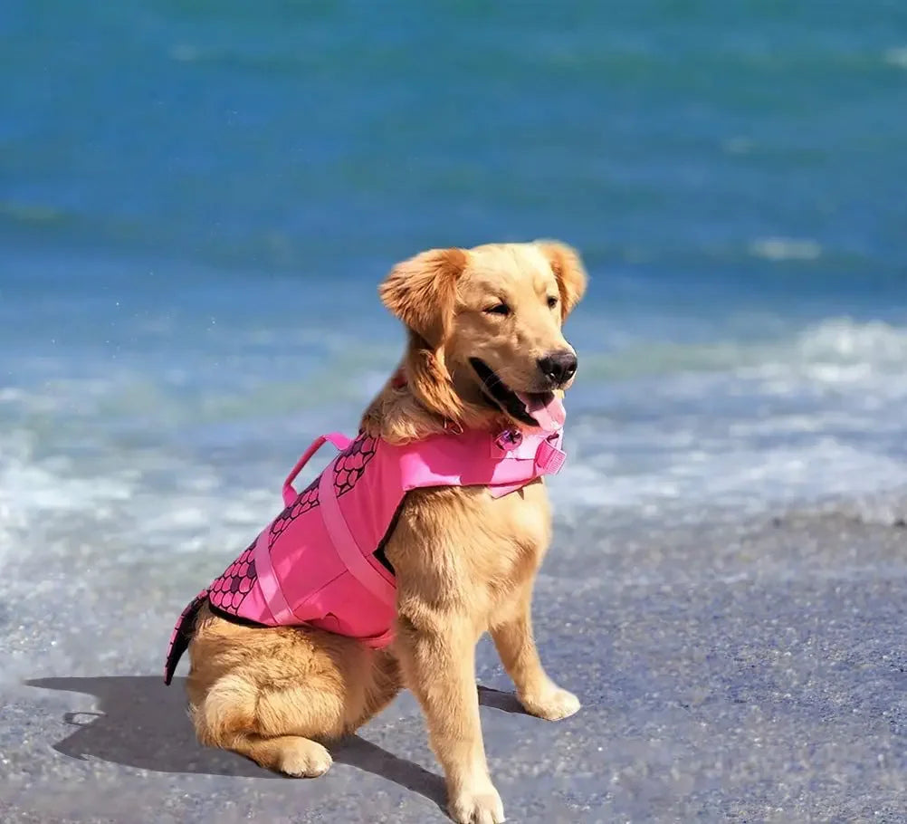 Ultimate Pet Dog Life Jacket | Safe & Stylish Swim Vest for Dogs