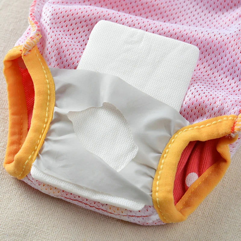 Denim Dog Shorts for Small & Medium Dogs | Stylish Pet Underwear