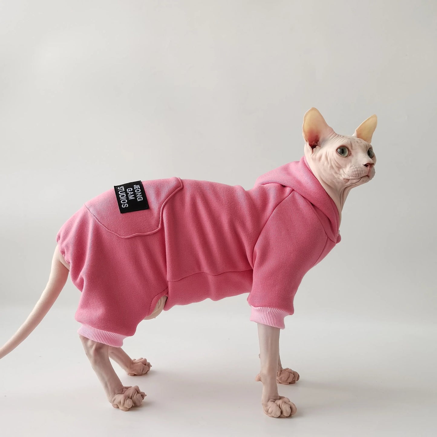 Soft Fleece-Lined Coat for Cats | Cozy Autumn Winter Hoodie