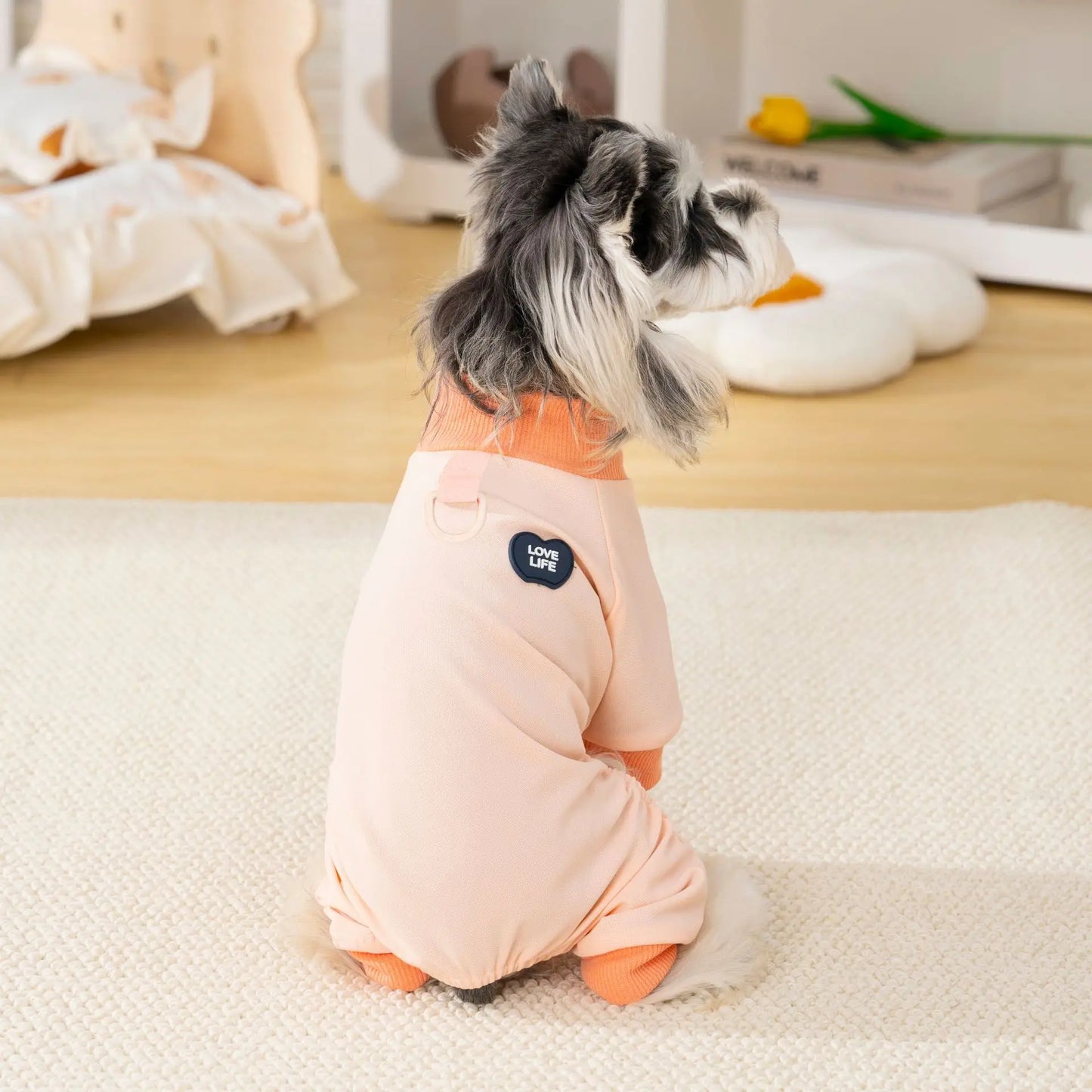 Pet clothing outdoor  dog four-legged outfit spring and summer new dog clothes cat spring and summer clothes for sun protection