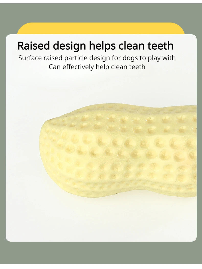 Interactive Dog Chewing Toy | Peanut Shaped Squeaker for Teeth Care
