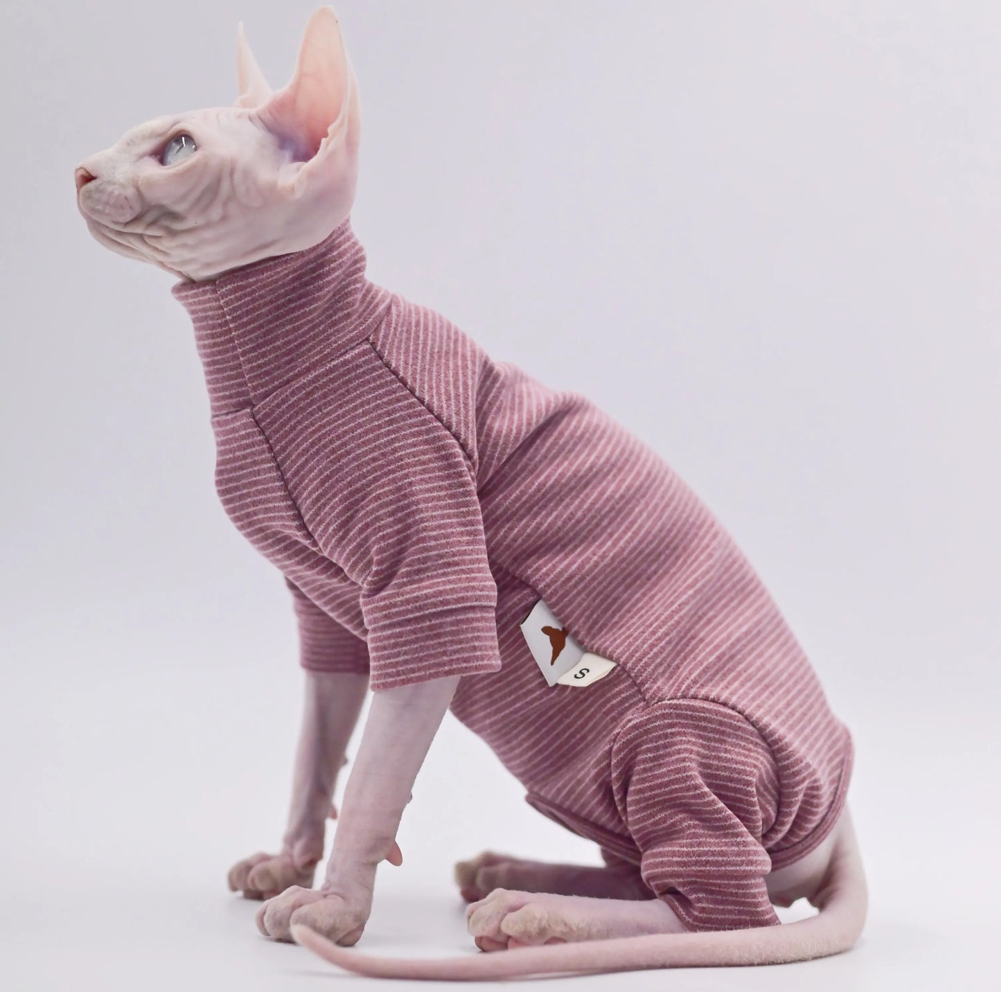 Sudadera con capucha cálida y suave para gatos sin pelo | Ropa acogedora para otoño-invierno