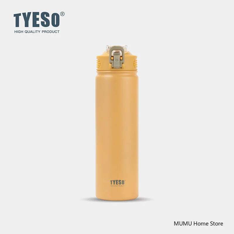 Stainless Steel Insulated Water Bottle with Straw - 600/750ML