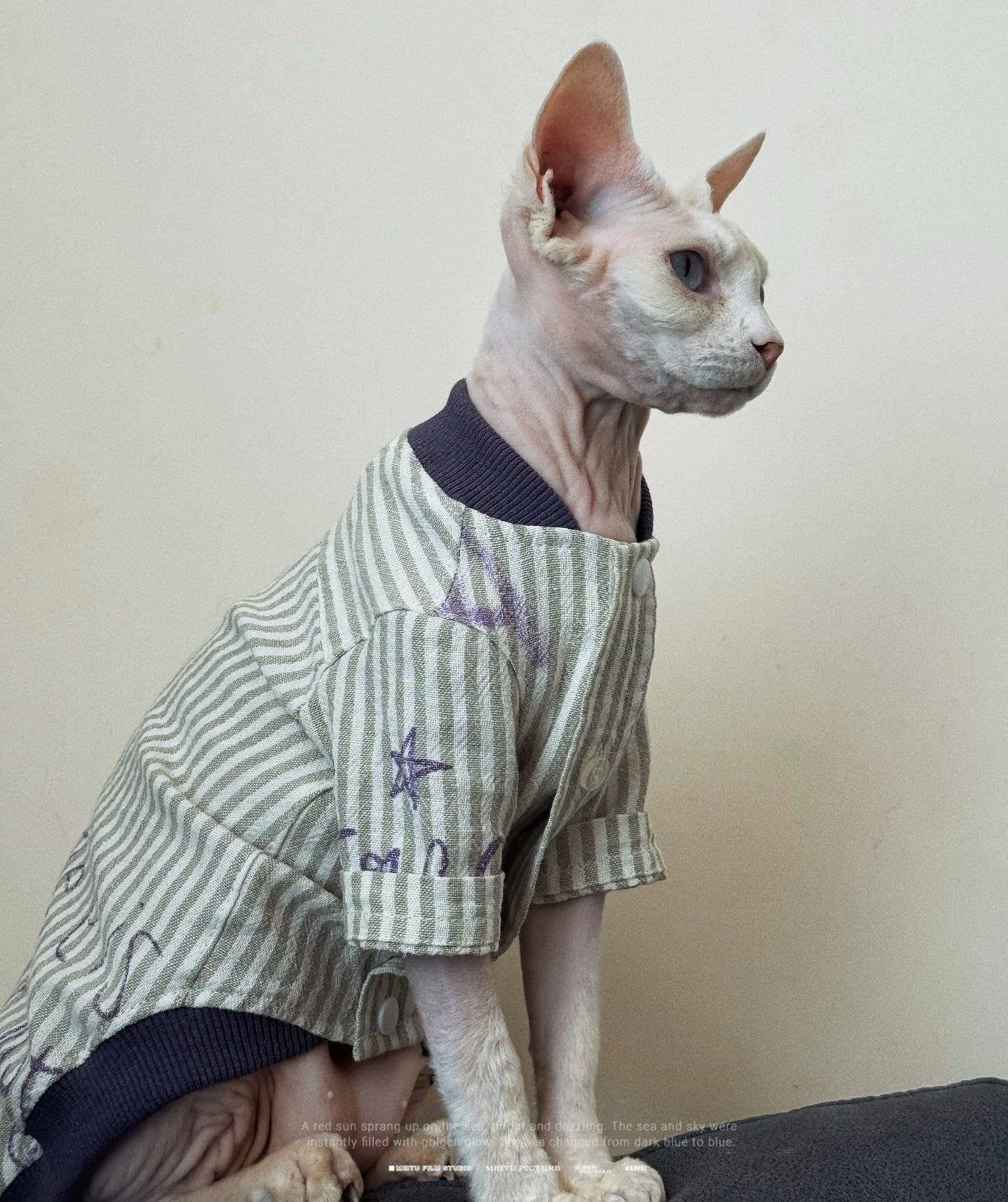 Stylish Cotton Baseball Jacket for Sphynx Cats and Kittens