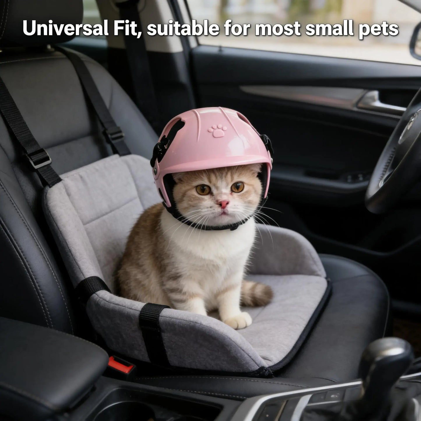 Adorable Pet Helmet for Small Dogs & Cats | Adjustable & Breathable