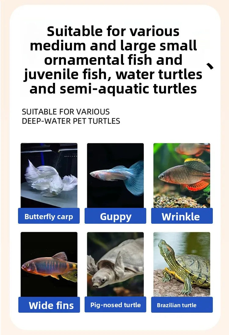 Freeze-Dried Brine Shrimp Blocks for Fish | Nutrient-Rich Treats