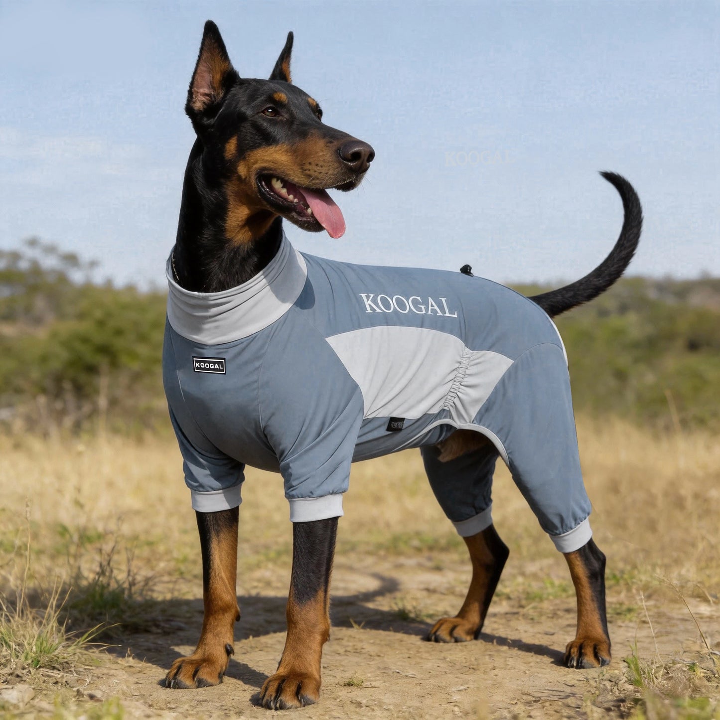 Summer Dog Cooling Clothes | Quick-Dry Pet Sun Protection Outfit