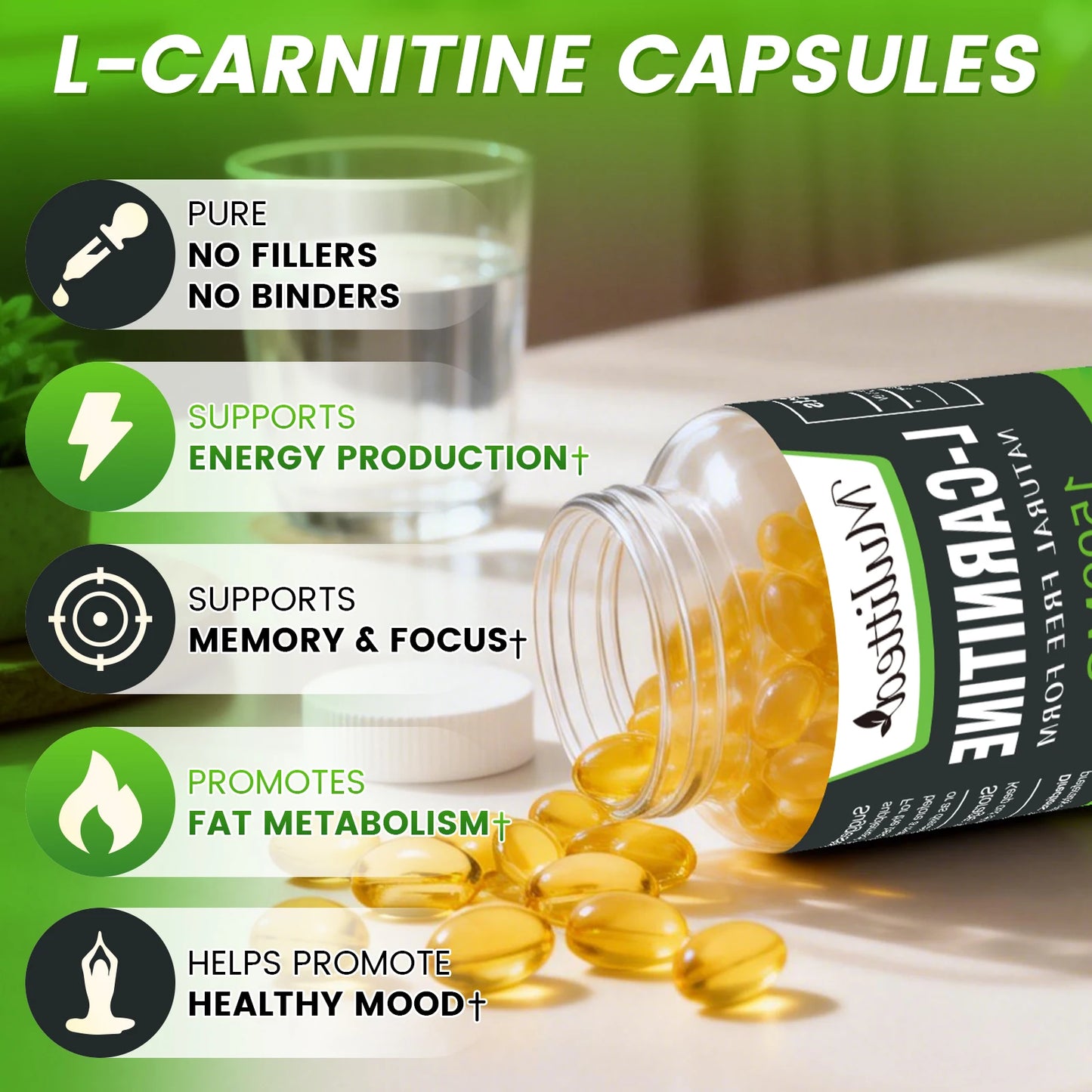 L-Carnitine Capsules for Fat Burning & Enhanced Focus