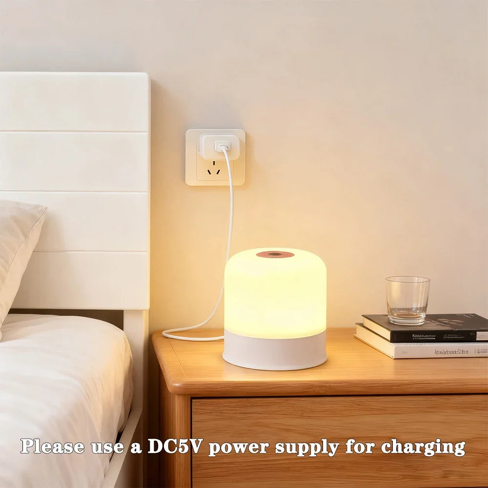 Rechargeable LED Touch Switch Night Lamp | Mood Light & Timer 2026