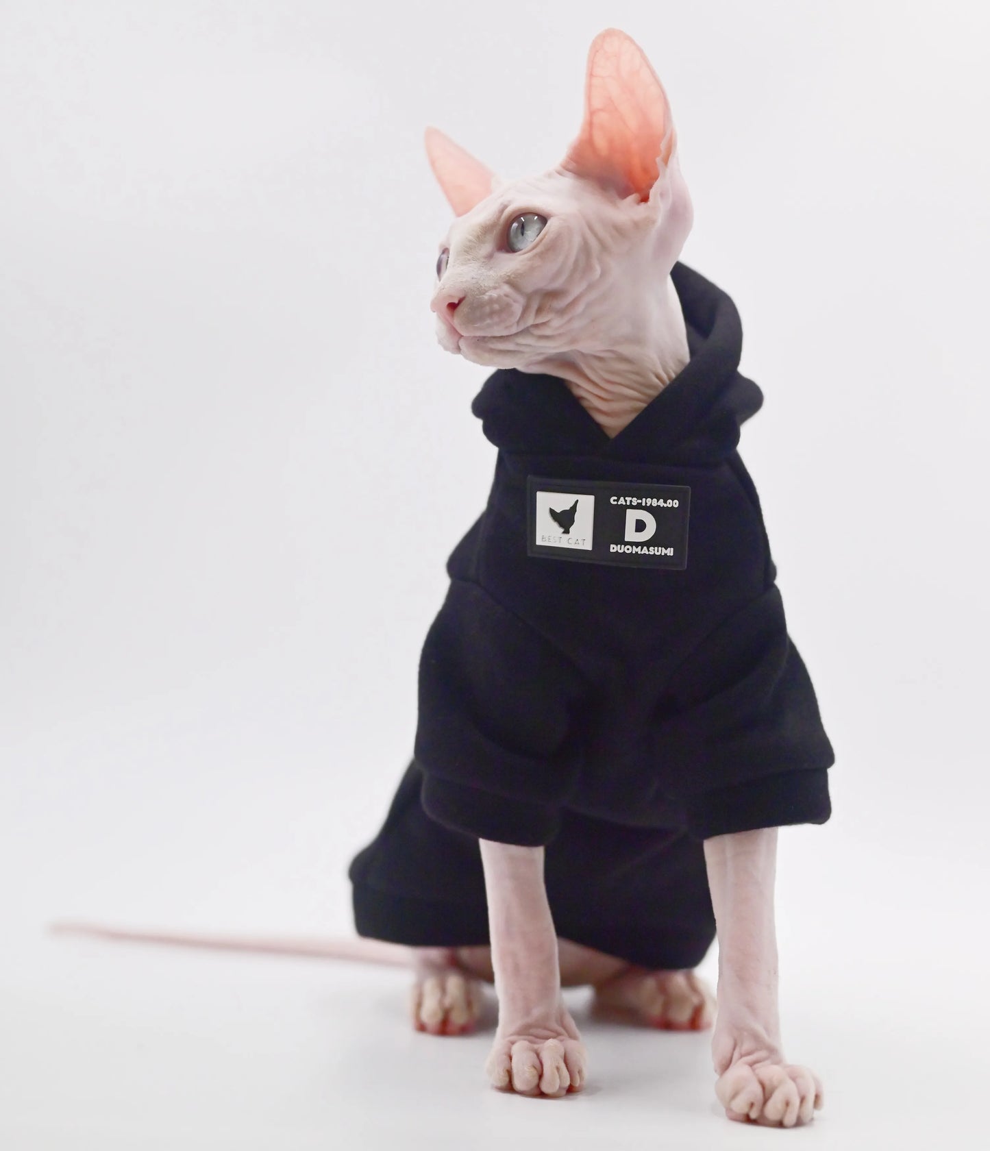 Stylish Cat Hoodie for Hairless Breeds | Cozy Spring/Fall Fashion