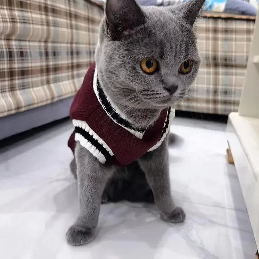 Cute Winter Cat Clothing | Soft & Warm Windproof Puppy Outfits