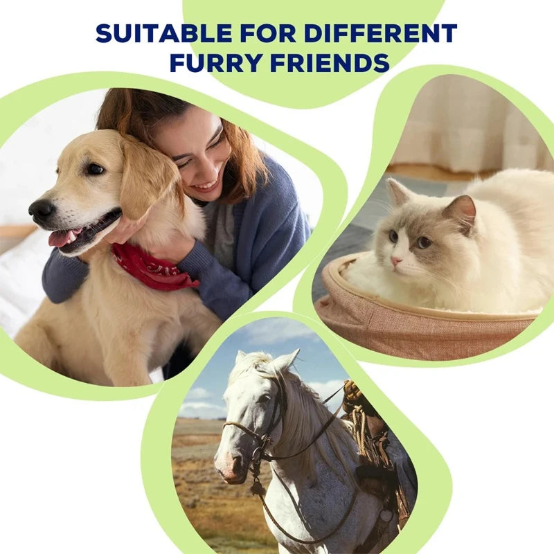 Red Light LED Therapy Device for Pet Pain Relief | Non-Invasive Healing