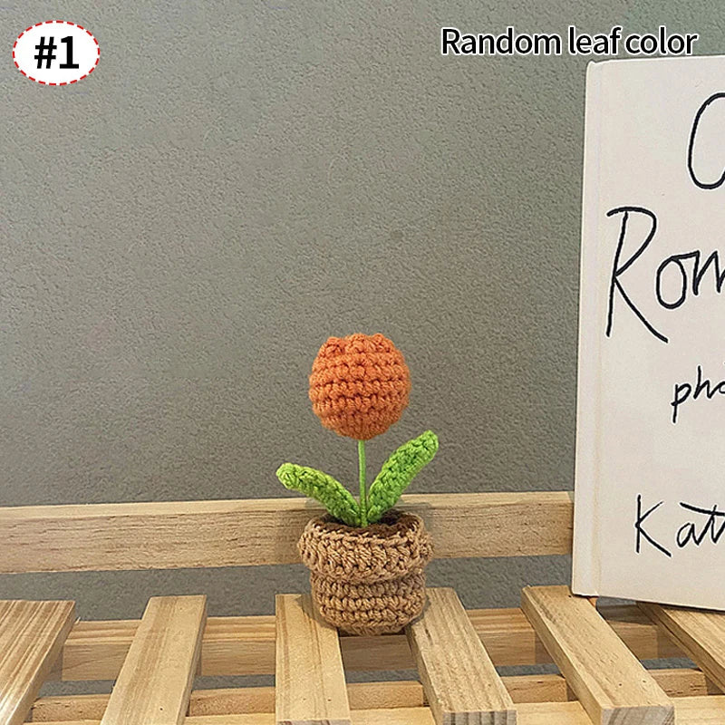 Beautiful Hand-Woven Crochet Flower Pots for Home Décor
