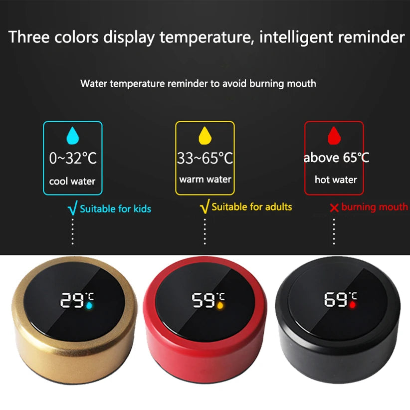 500ML Smart Insulated Water Bottle with Temperature Display