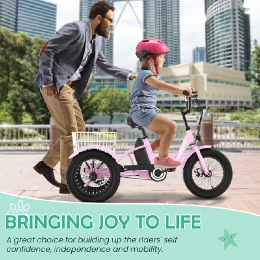 Electric Tricycle for Youth | 250W 3-Wheel Electric Bike