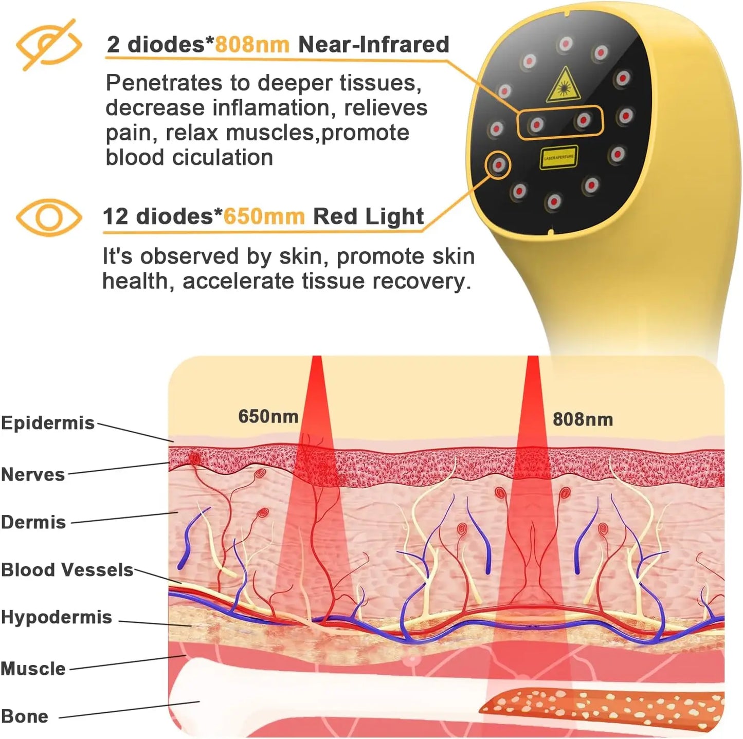 Handheld Cold Laser Therapy Device for Pets | Pain Relief Tool