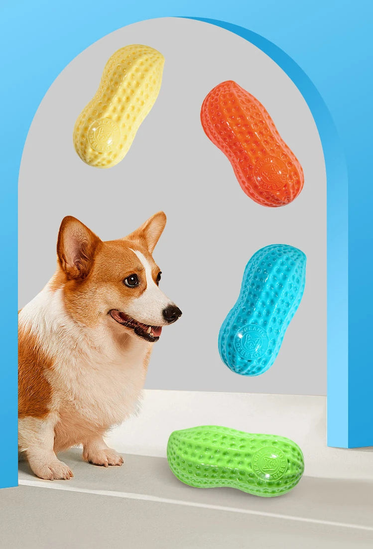 Interactive Dog Chewing Toy | Peanut Shaped Squeaker for Teeth Care